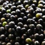 , Ingredients, Elyxa