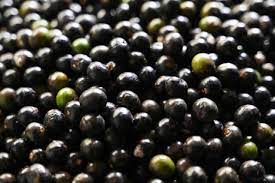 Elyxa Australian Organic Whole-food Supplements Acai