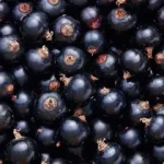, Ingredients, Elyxa