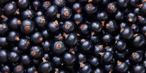 Elyxa Australian Organic Whole-food Supplements Blackcurrant