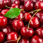 , Ingredients, Elyxa