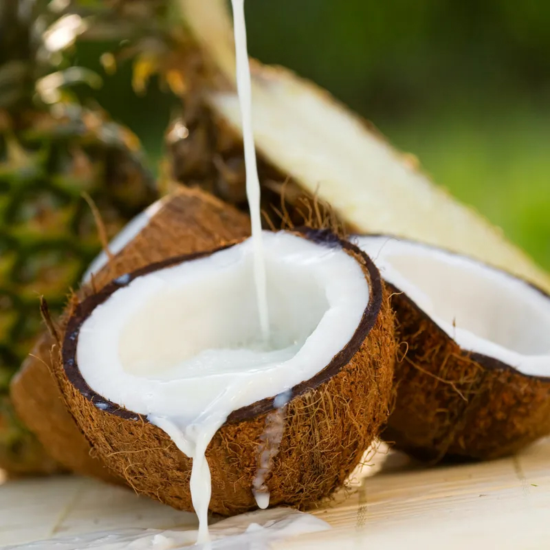 Elyxa Australian Organic Whole-food Supplements Coconut Milk