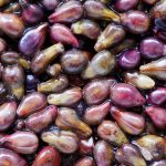 , Ingredients, Elyxa