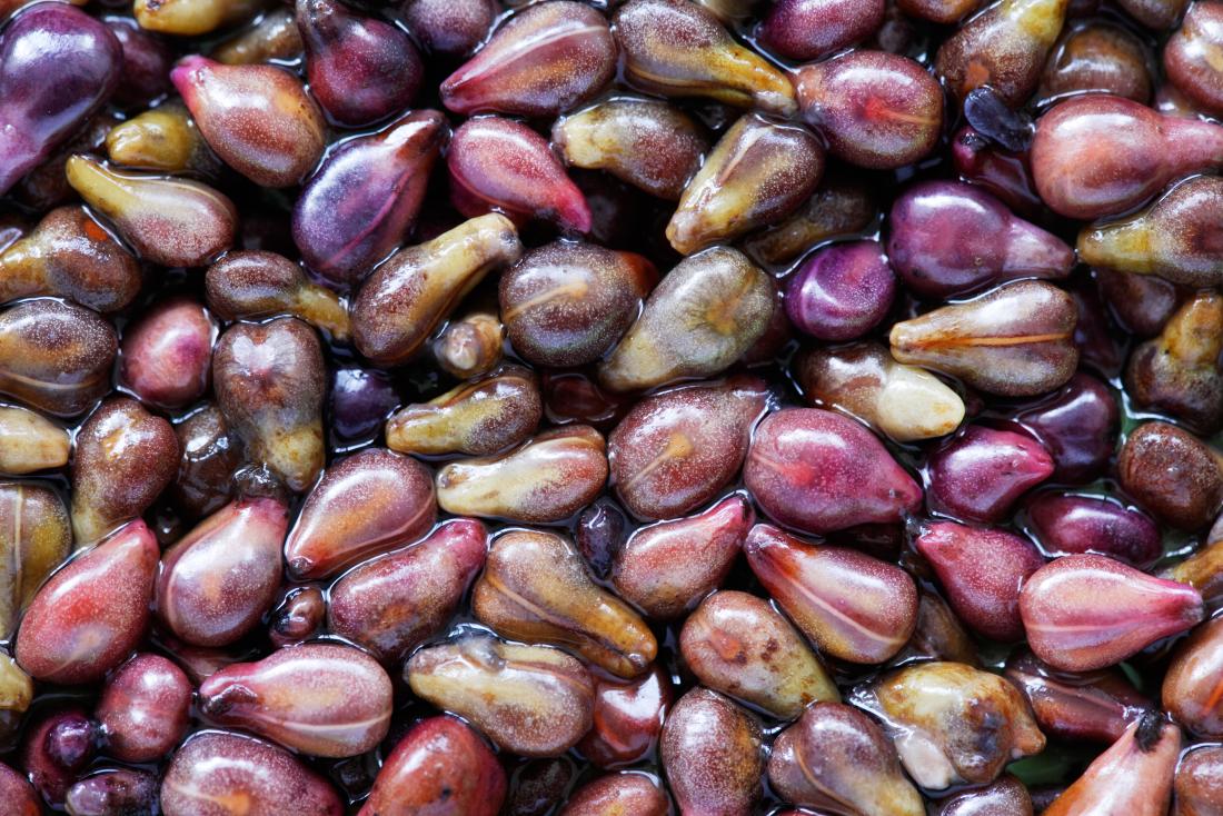 Elyxa Australian Organic Whole-food Supplements Grape Seeds