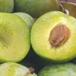 , Ingredients, Elyxa