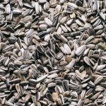 , Ingredients, Elyxa
