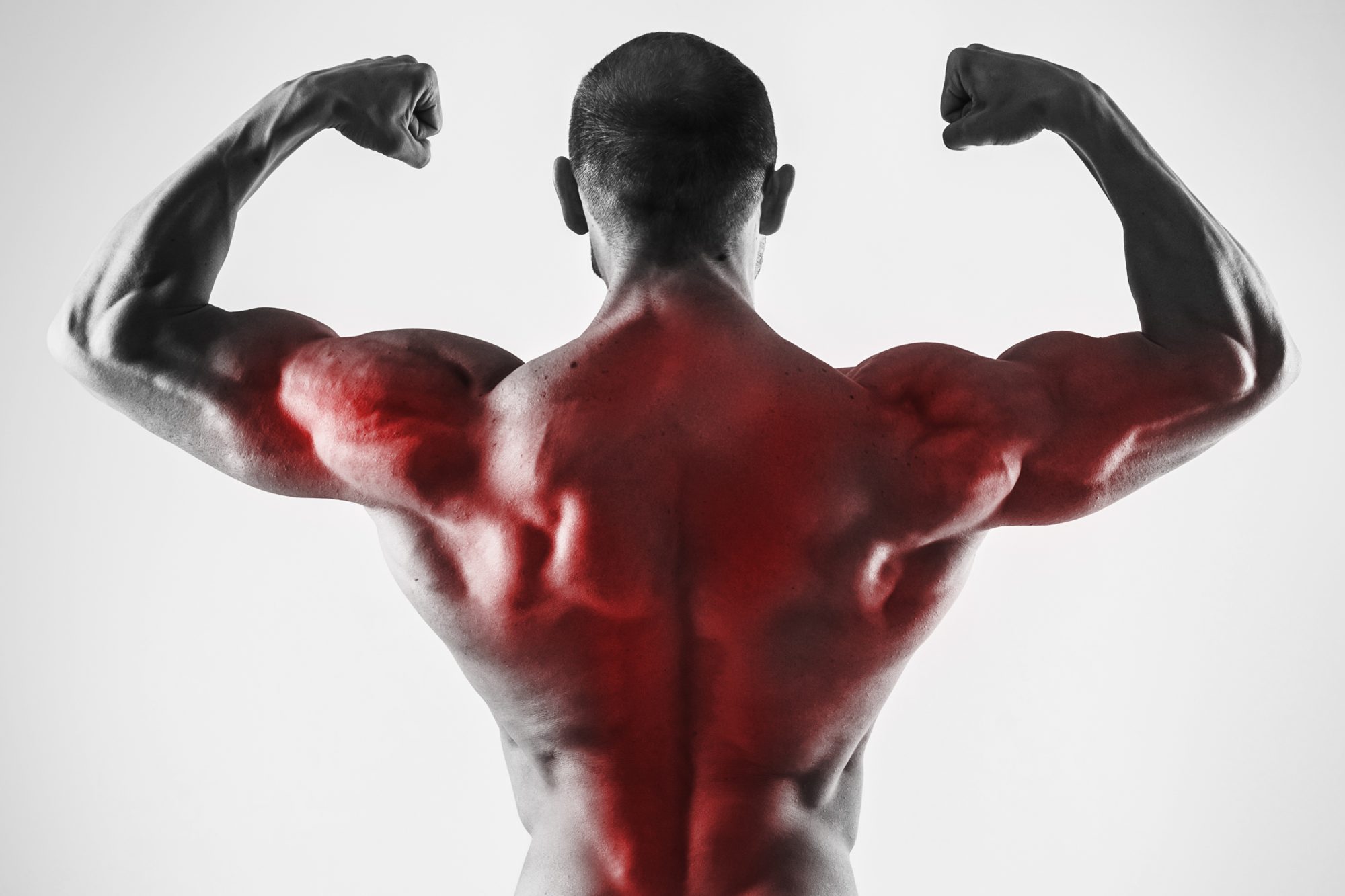 Elyxa Australian Organic Whole-food Supplements Specialization For Back Muscles In A Bodybuilidng